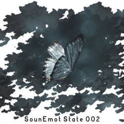 SounEmot State 002