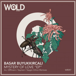 Mystery Of Love
