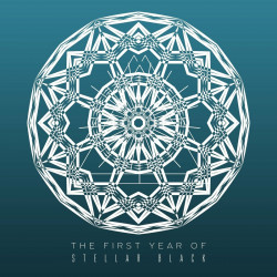 The First Year of Stellar Black