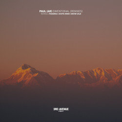 Dimentional (Remixes)