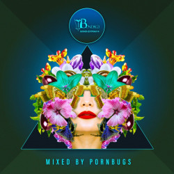 Deep Value, Vol. 6  (Mixed By Pornbugs)
