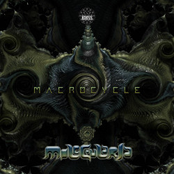 Macrocycle
