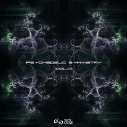 Psychedelic Symmetry, Vol. 4