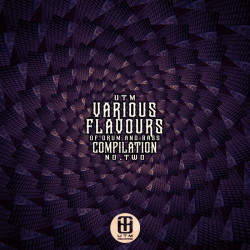 Various Flavours (Dnb), Vol. 2