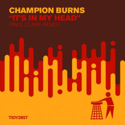 It's In My Head (Paul Clark Remix)