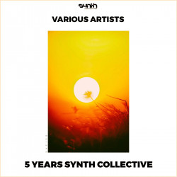 5 Years Synth Collective