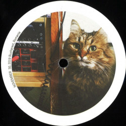 Cool Cat EP