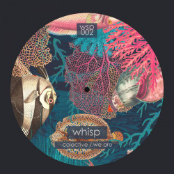 colective / we are