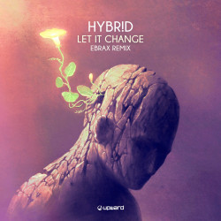 Let It Change (Ebrax Remix)