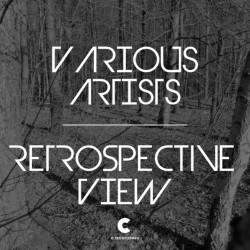 Retrospective View