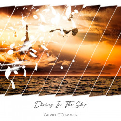 Diving In The Sky