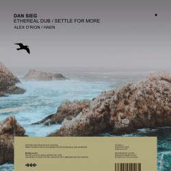 Ethereal Dub / Settle For More