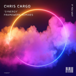 Synergy (Framewerk Remixes)