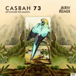 Let’s Invade the Amazon (JKriv Remix)