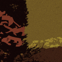 Tommy And The Breaking Roots