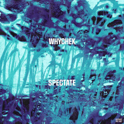 Spectate 