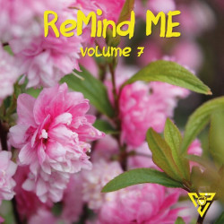 Remind Me, Vol 7