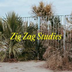  Zig Zag Studies