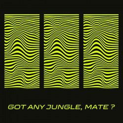 Got Any Jungle, Mate ?