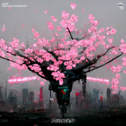 Reflections EP