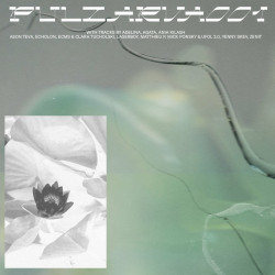 PULZARVA001 