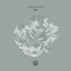 One Of A Kind 200