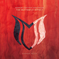 The Butterfly Effect 