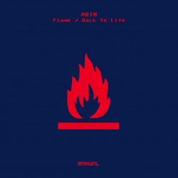 Flame Back To Life