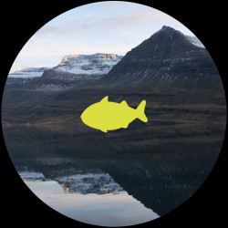 Thanks for All the Fish