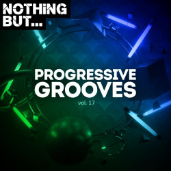 Nothing But... Progressive Grooves Vol 17