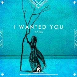 I Wanted You