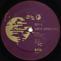 Earth Experience