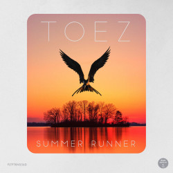 Summer Runner