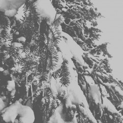 Soft, Deep & Dark # 9