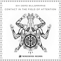 Contact in the Field of Attention