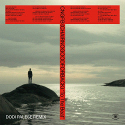 To The Beat (Dodi Palese Remix)