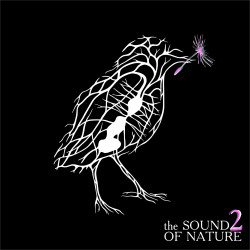 The Sound Of Nature 2