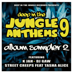 Deep In The Jungle Anthems 9 LP Sampler 2