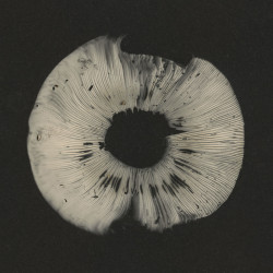 CYCLES II: Cyclic Law's 20th Anniversary Label Sampler