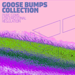 Goose Bumps Collection, Vol. 9 