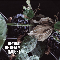 VA Beyond The Realm of Naught