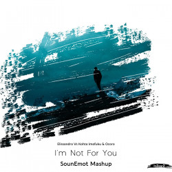 I'm Not for You (SounEmot Mashup)