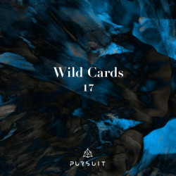 Wild Cards 17