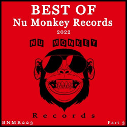 Best Of Nu Monkey Records 2022 Part 3