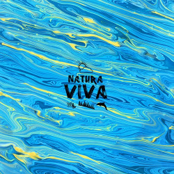 Viva 2022.2