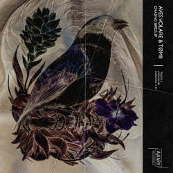 Chasing Birds EP