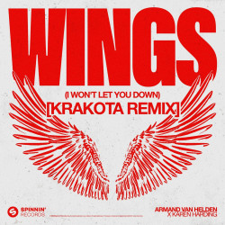 Wings (I Won't Let You Down) [Krakota Remix]