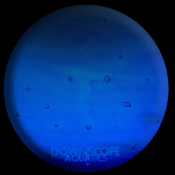  Aquatics +