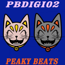 PBDIGI02