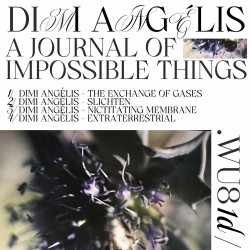 A Journal Of Impossible Things